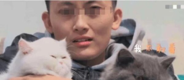 The boy and the cat were watching a horror movie. After seeing the ghost coming out, the cat s expression lit up.